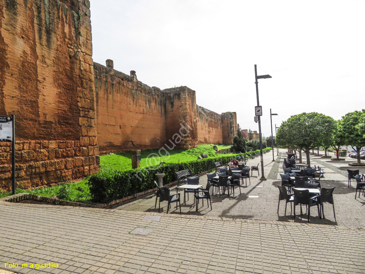 Niebla (130) Muralla