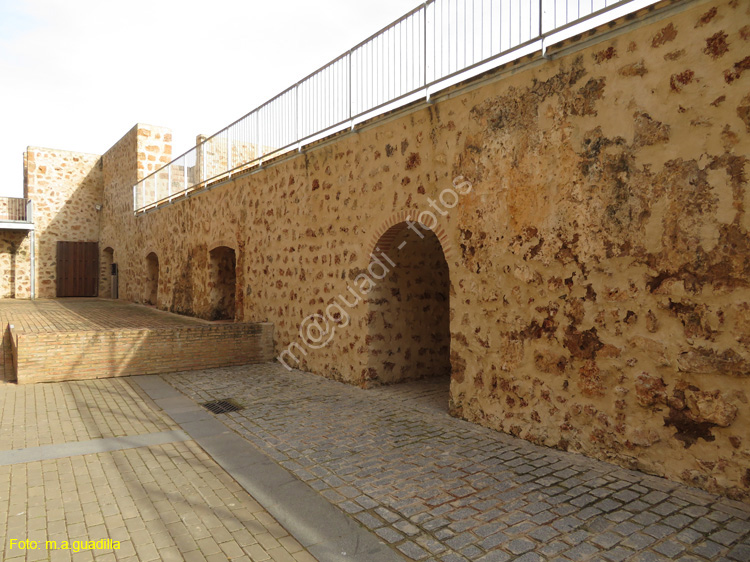 Niebla (156) Castillo de los Guzmanes