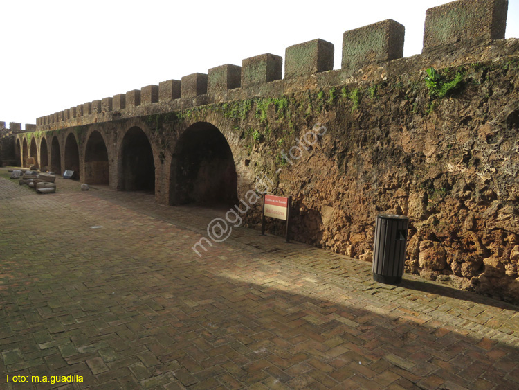 Niebla (177) Castillo de los Guzmanes