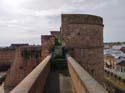 Niebla (190) Castillo de los Guzmanes