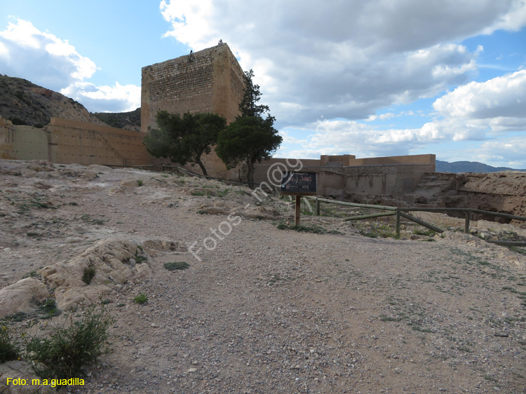 NOVELDA (115) Castillo de la Mola
