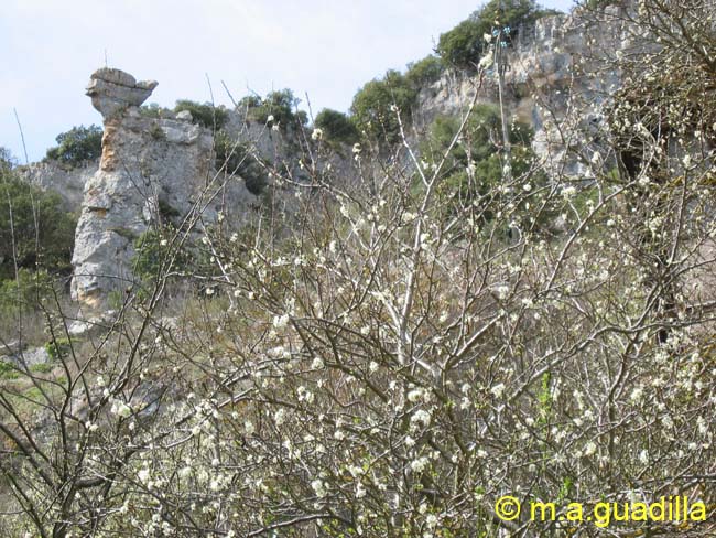 Orbaneja del Castillo 104