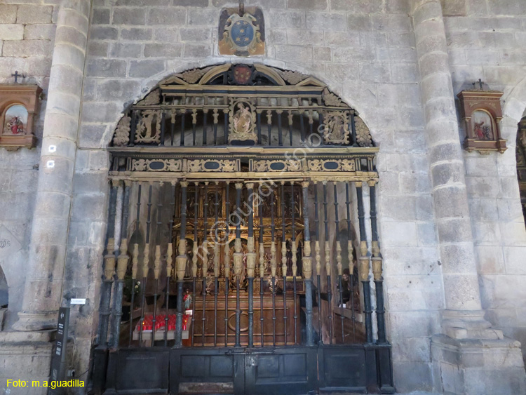 ORENSE (118) Catedral de San Martin