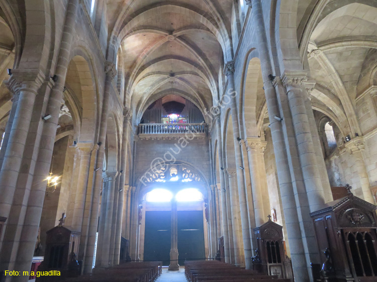 ORENSE (120) Catedral de San Martin