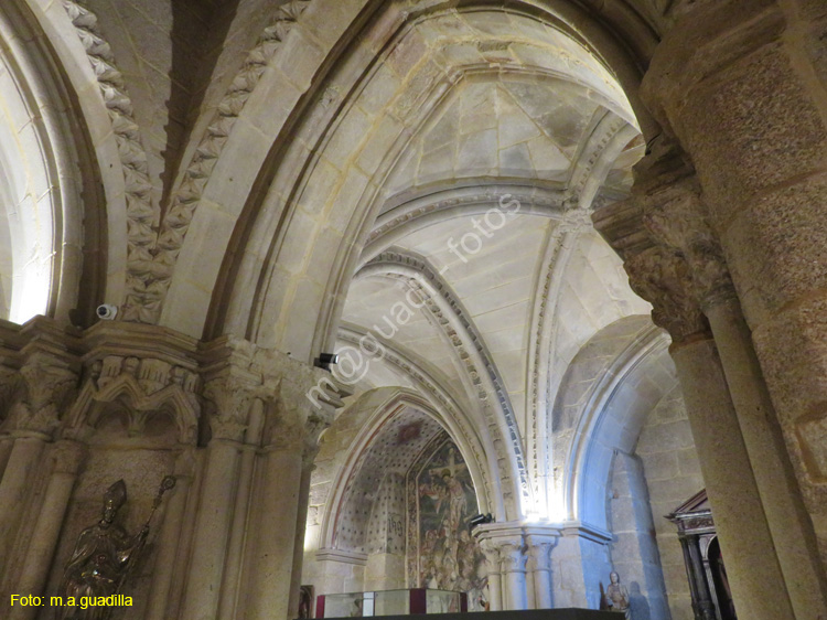 ORENSE (125) Catedral de San Martin