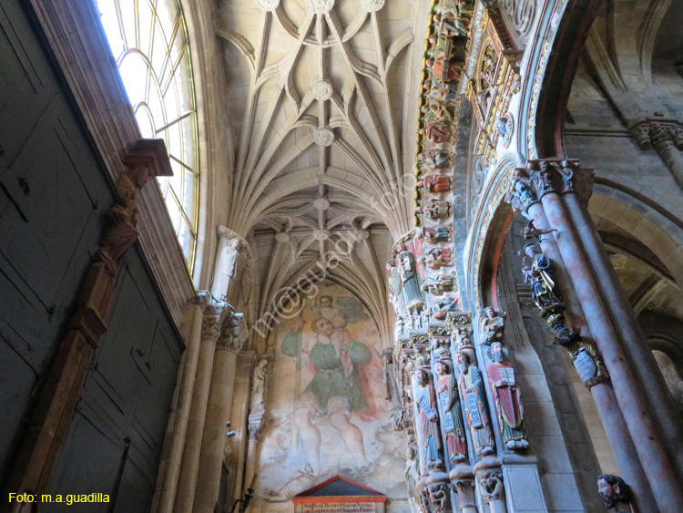 ORENSE (136) Catedral de San Martin