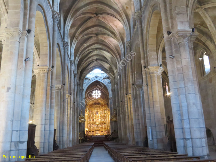 ORENSE (143) Catedral de San Martin