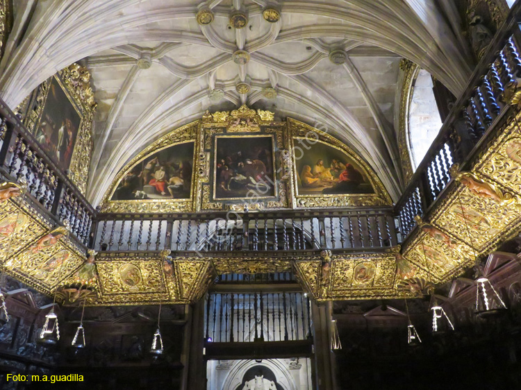 ORENSE (172) Catedral de San Martin