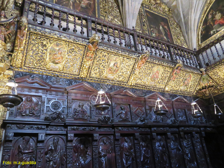 ORENSE (183) Catedral de San Martin