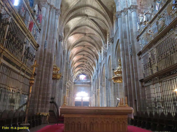 ORENSE (193) Catedral de San Martin