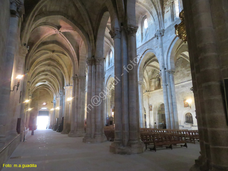 ORENSE (198) Catedral de San Martin