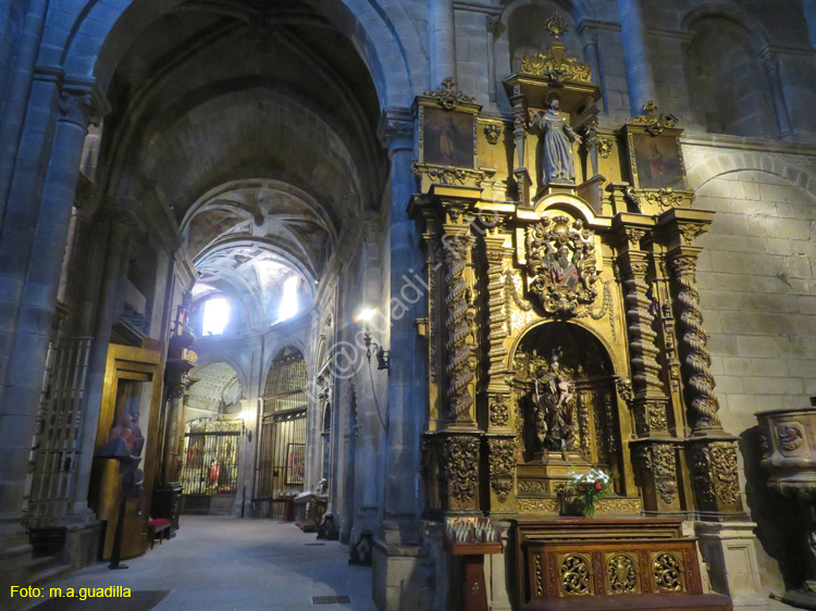 ORENSE (200) Catedral de San Martin