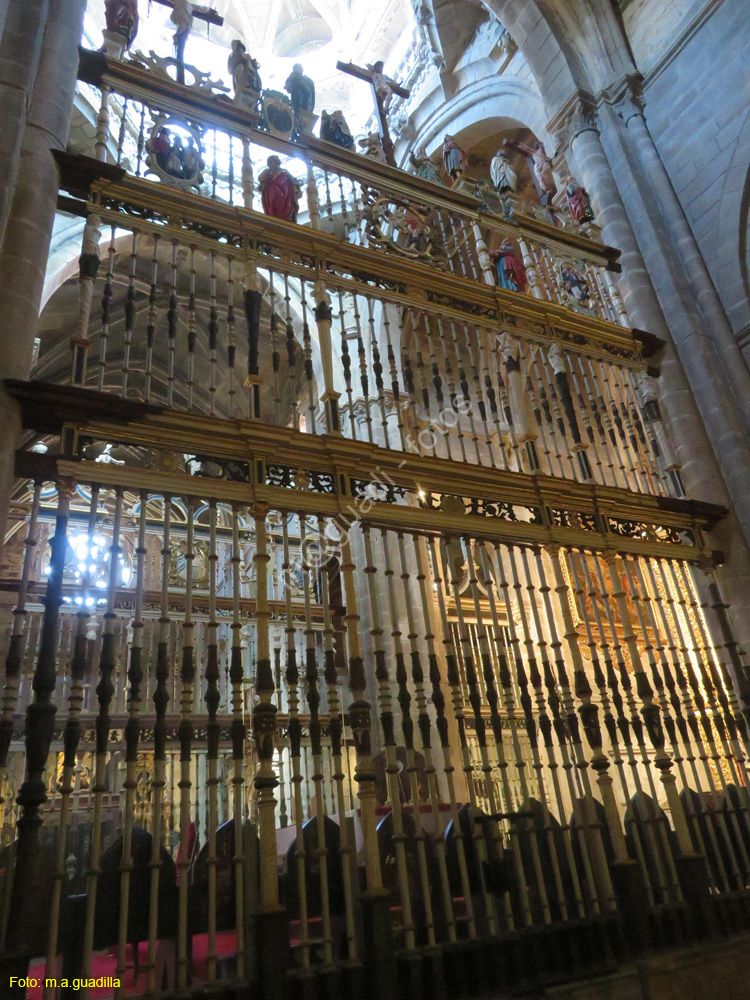 ORENSE (201) Catedral de San Martin