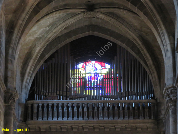 ORENSE (204) Catedral de San Martin