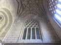 ORENSE (155) Catedral de San Martin