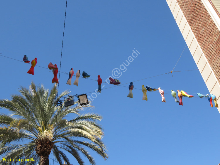 ORIHUELA (106)