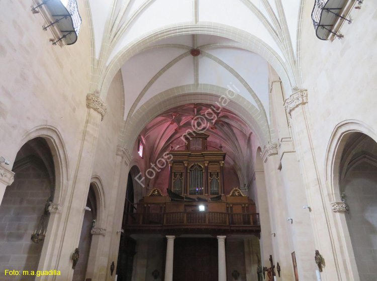 ORIHUELA (117) Iglesia de Santa Justa y Rufina