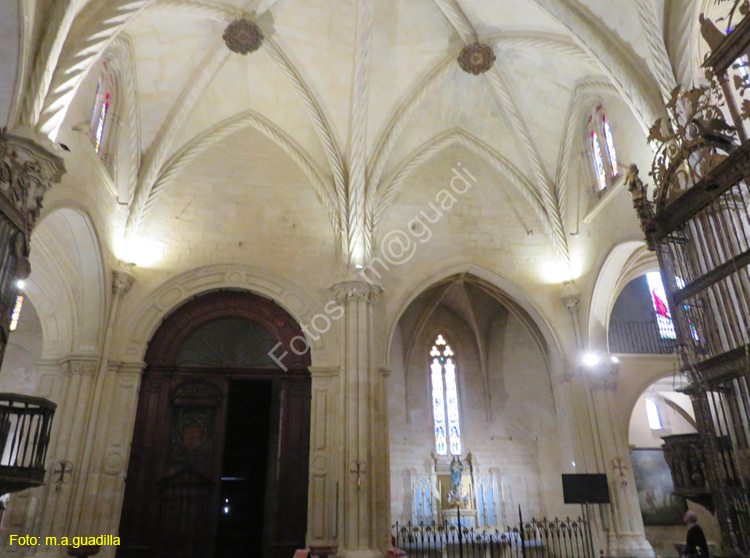 ORIHUELA (178) Catedral