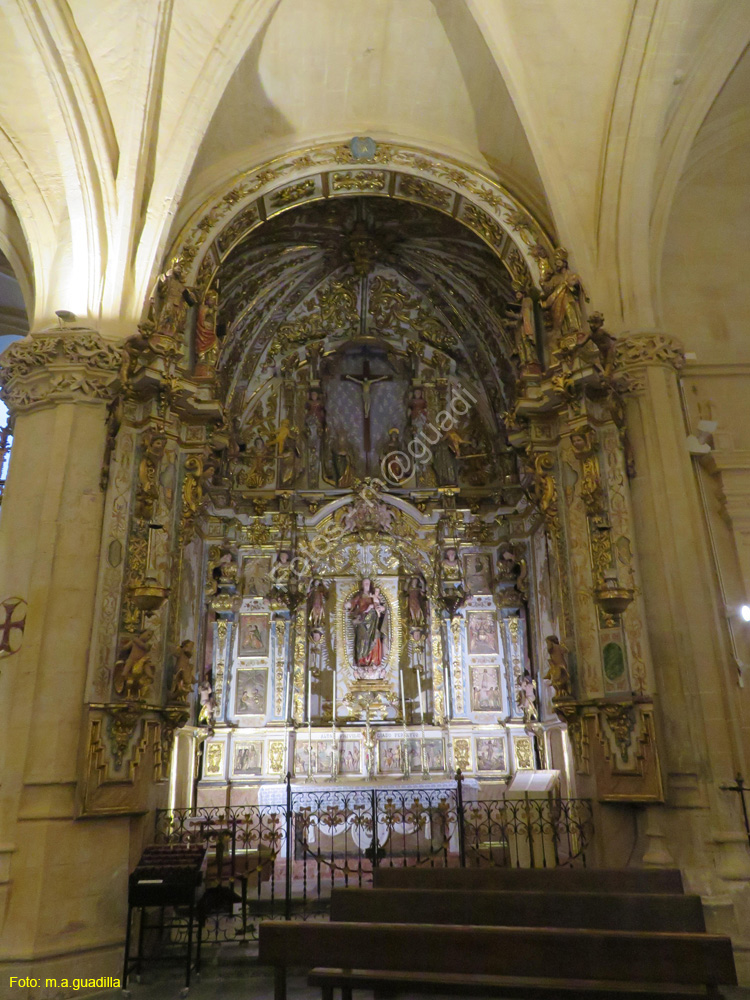 ORIHUELA (179) Catedral