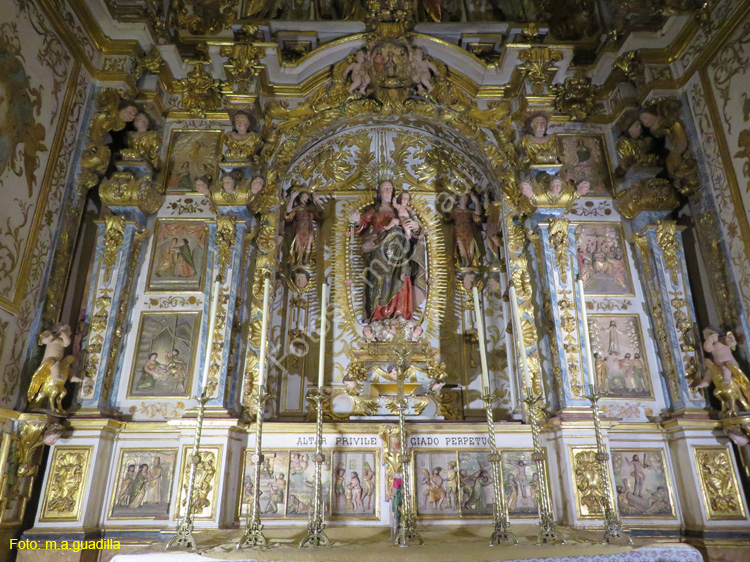 ORIHUELA (184) Catedral