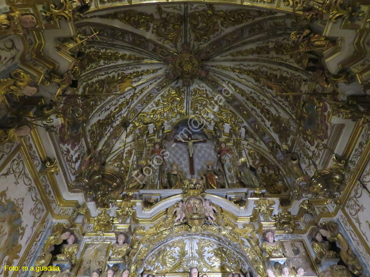 ORIHUELA (185) Catedral