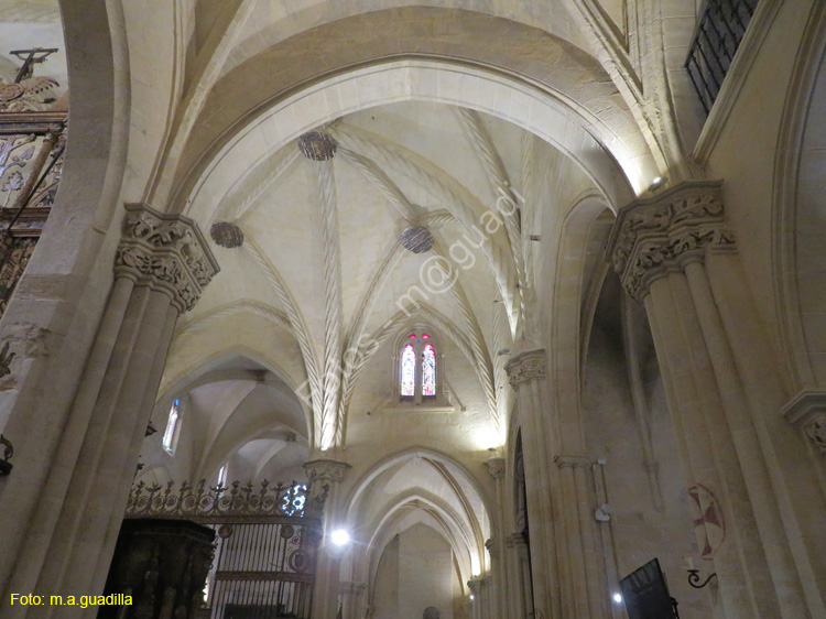 ORIHUELA (193) Catedral