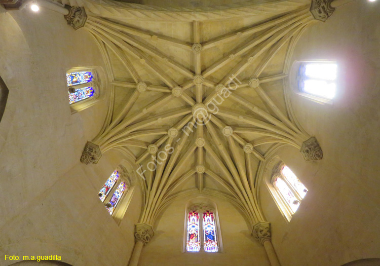 ORIHUELA (196) Catedral