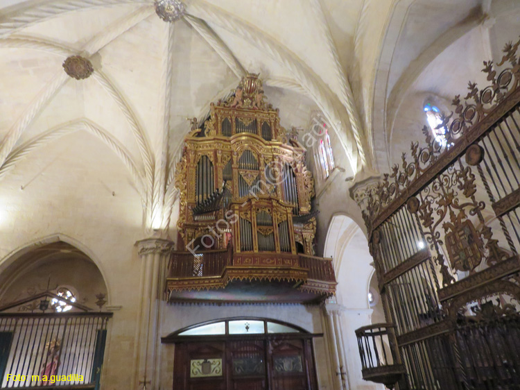 ORIHUELA (198) Catedral