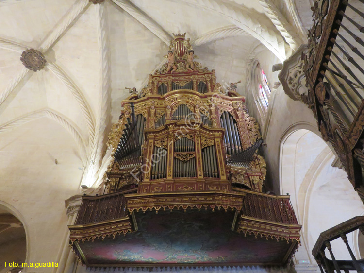 ORIHUELA (203) Catedral
