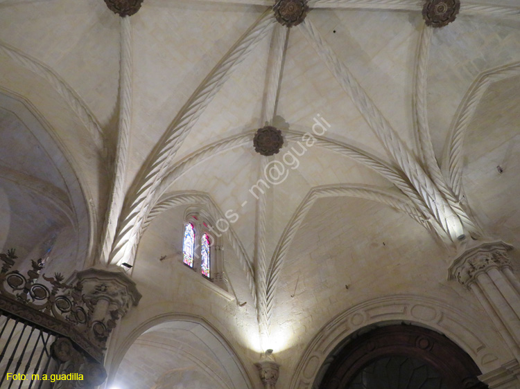 ORIHUELA (205) Catedral