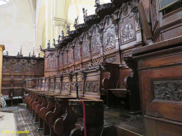 ORIHUELA (206) Catedral