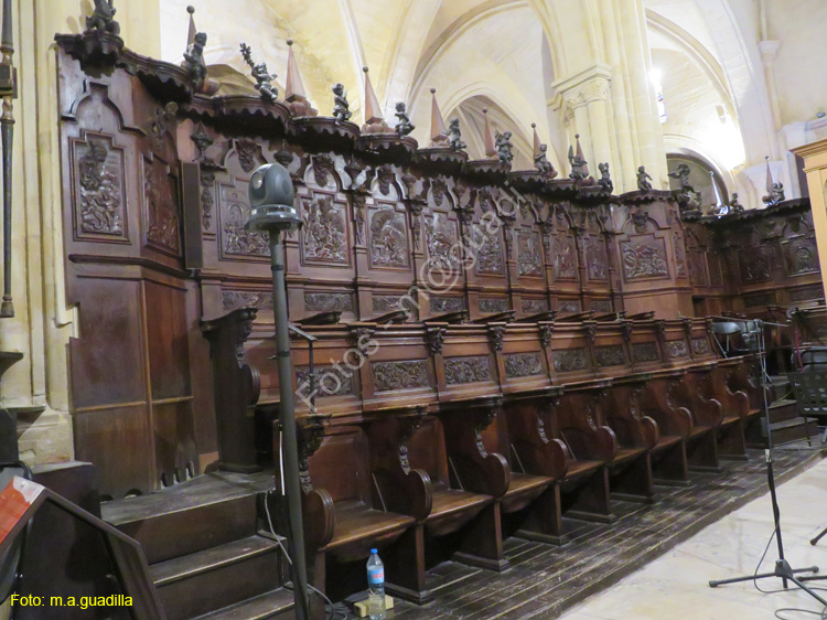 ORIHUELA (207) Catedral