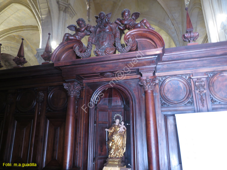 ORIHUELA (208) Catedral