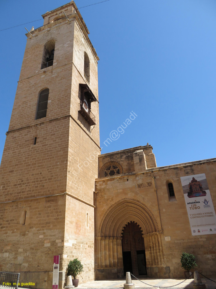 ORIHUELA (209) Catedral