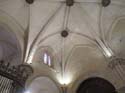 ORIHUELA (205) Catedral