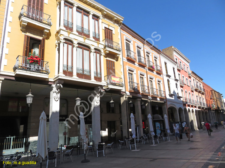 PALENCIA (115) Calle Mayor