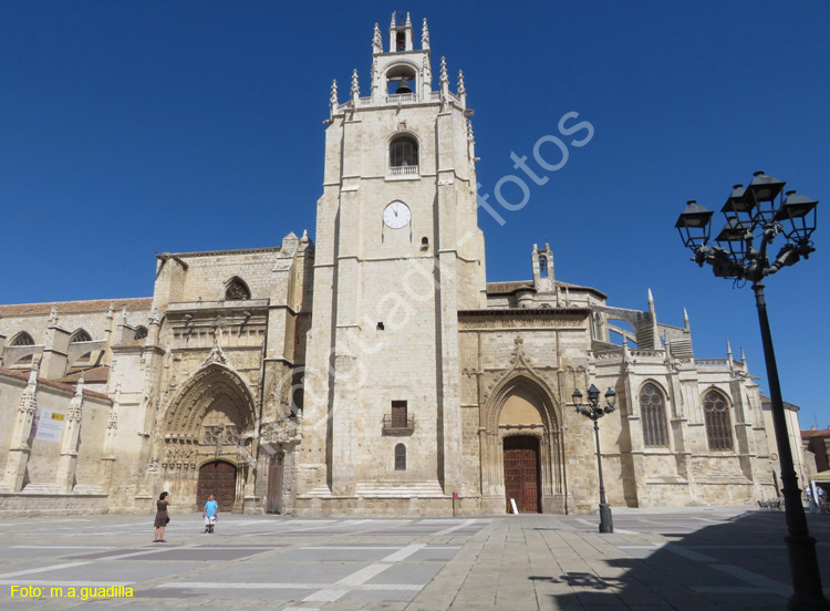 PALENCIA (191) Catedral