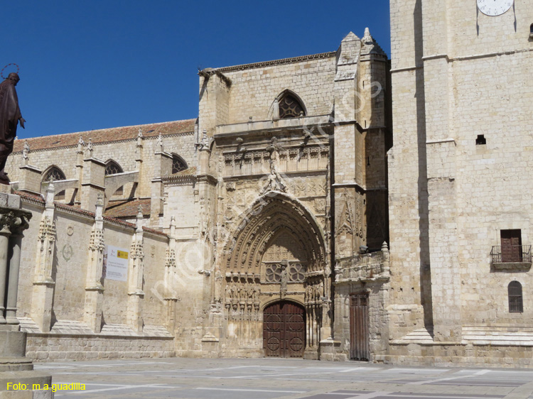 PALENCIA (192) Catedral