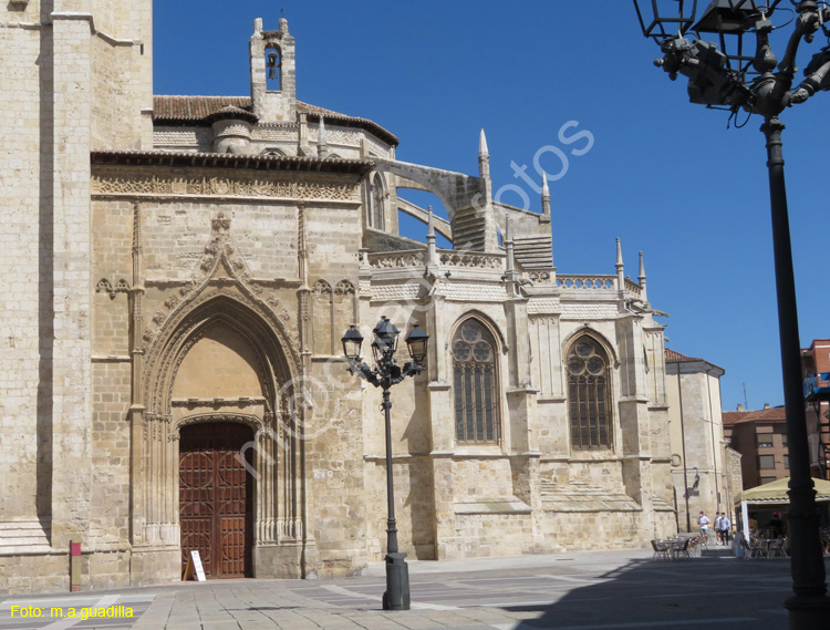 PALENCIA (194) Catedral
