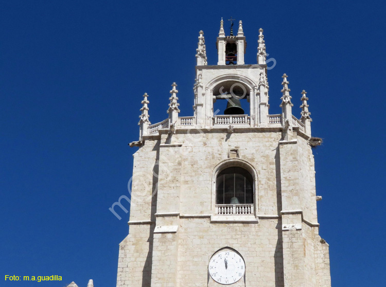 PALENCIA (195) Catedral