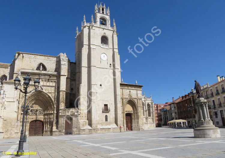 PALENCIA (196) Catedral