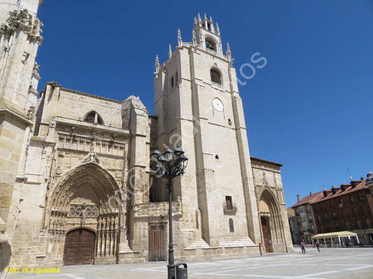 PALENCIA (197) Catedral