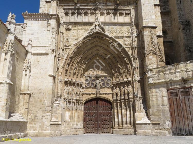 PALENCIA (198) Catedral