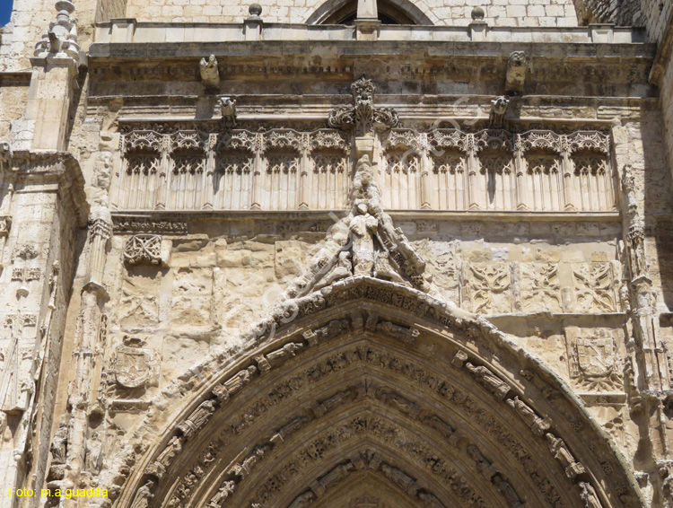 PALENCIA (199) Catedral