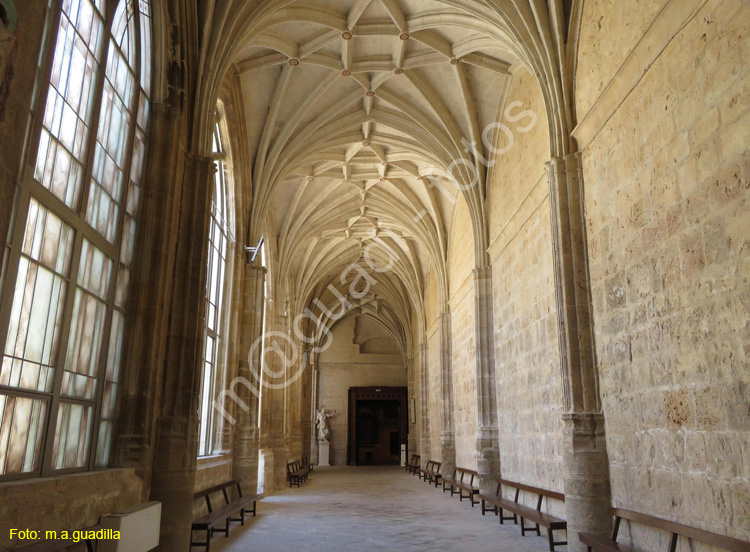 PALENCIA (203) Catedral