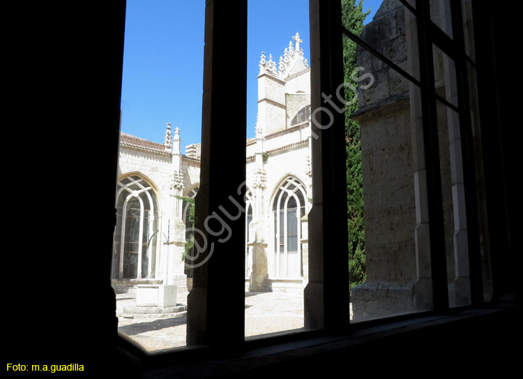 PALENCIA (205) Catedral