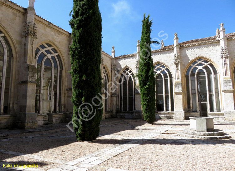 PALENCIA (206) Catedral