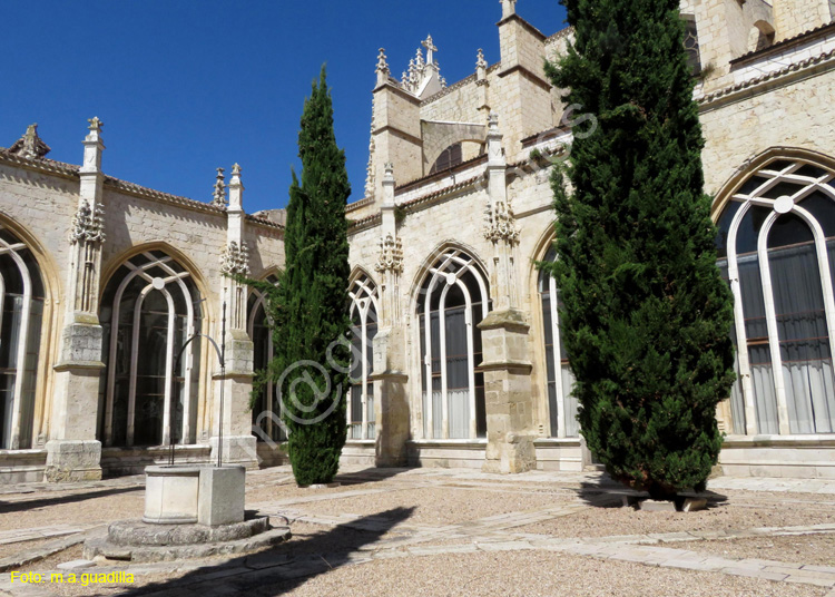 PALENCIA (207) Catedral