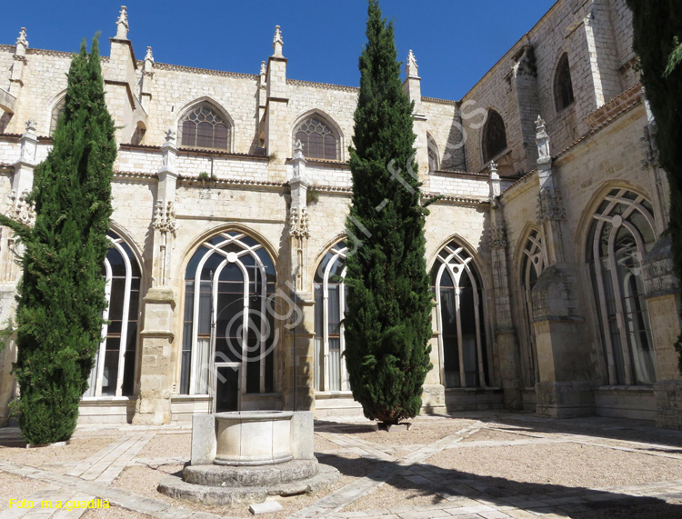 PALENCIA (208) Catedral