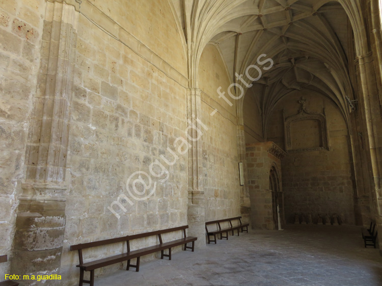 PALENCIA (209) Catedral